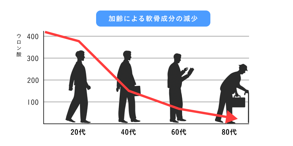 加齢による軟骨成分の減少